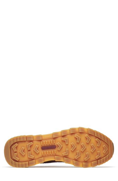 Merrell Alpine 83 Sneaker In Syrah