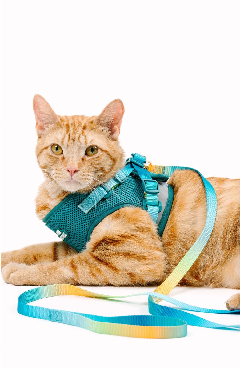 Pink Papyrus Joey Cat Harness and Leash Set, Alternate, color, Joey