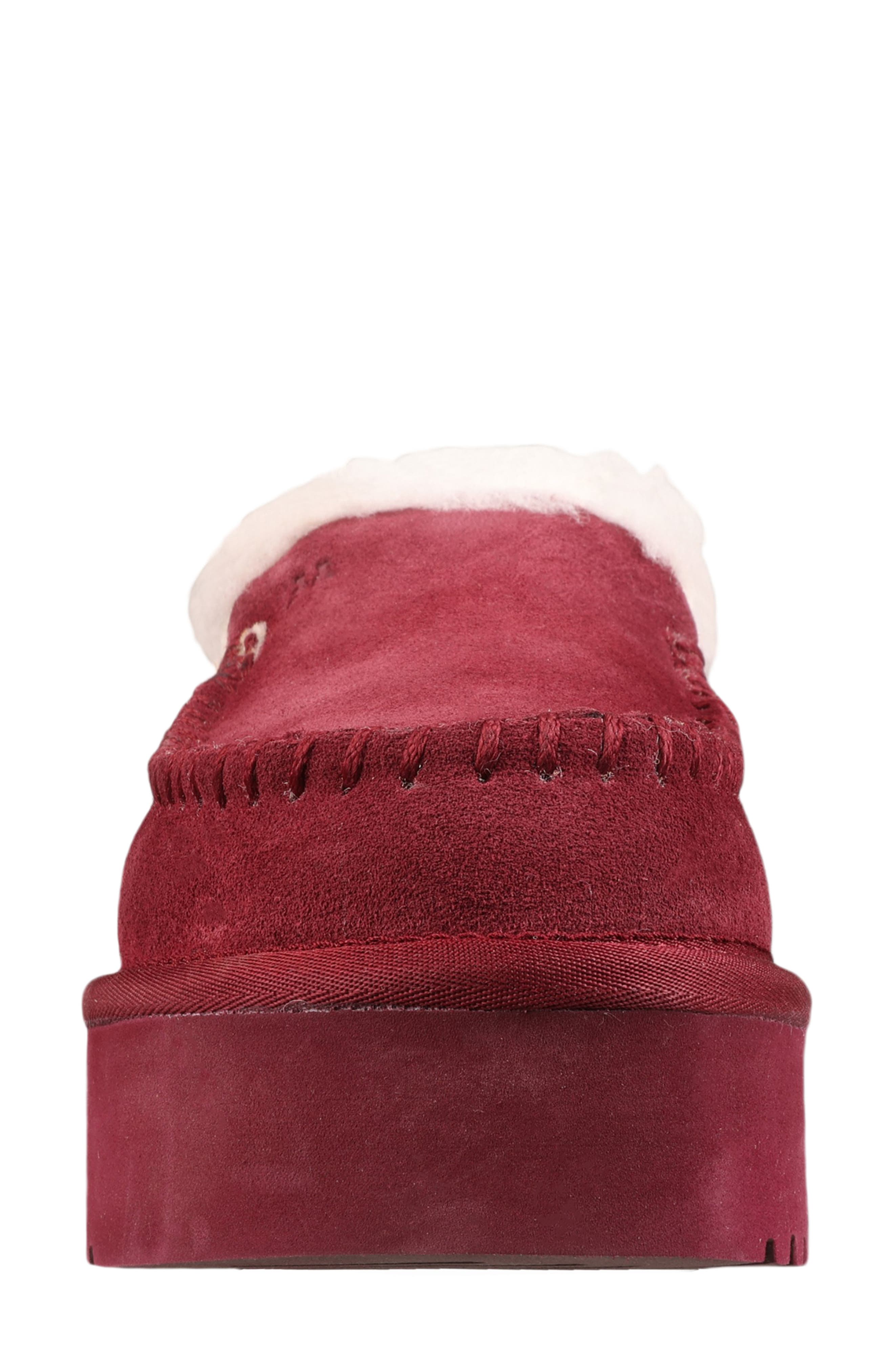 Suede Genuine Shearling Lined Water Repellent Clog, Alternate, color, WINE