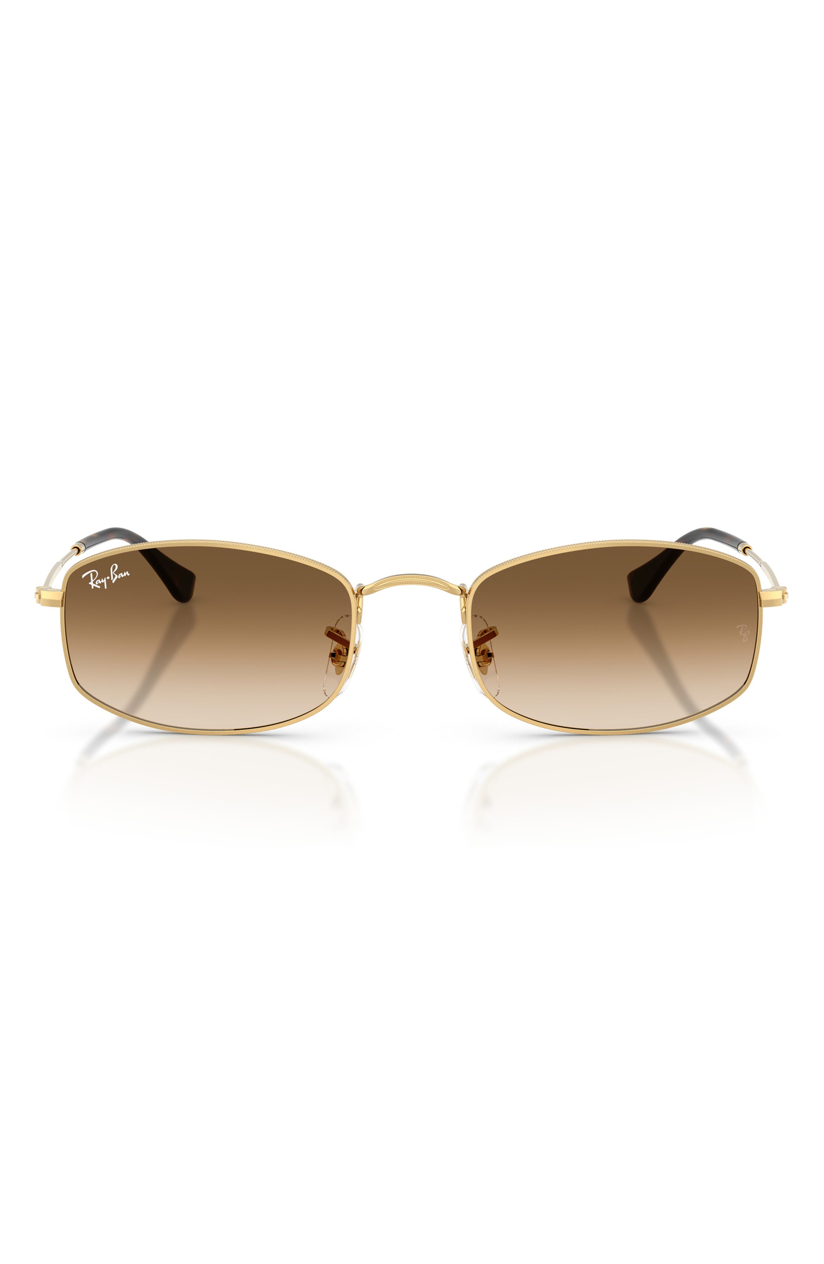 ARISTA / CLEAR GRADIENT BROWN