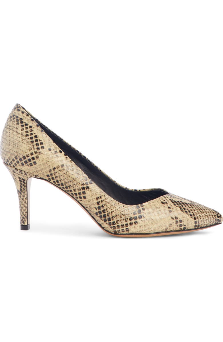 Isabel Marant Pully Pointy Toe Pump, Alternate, color,