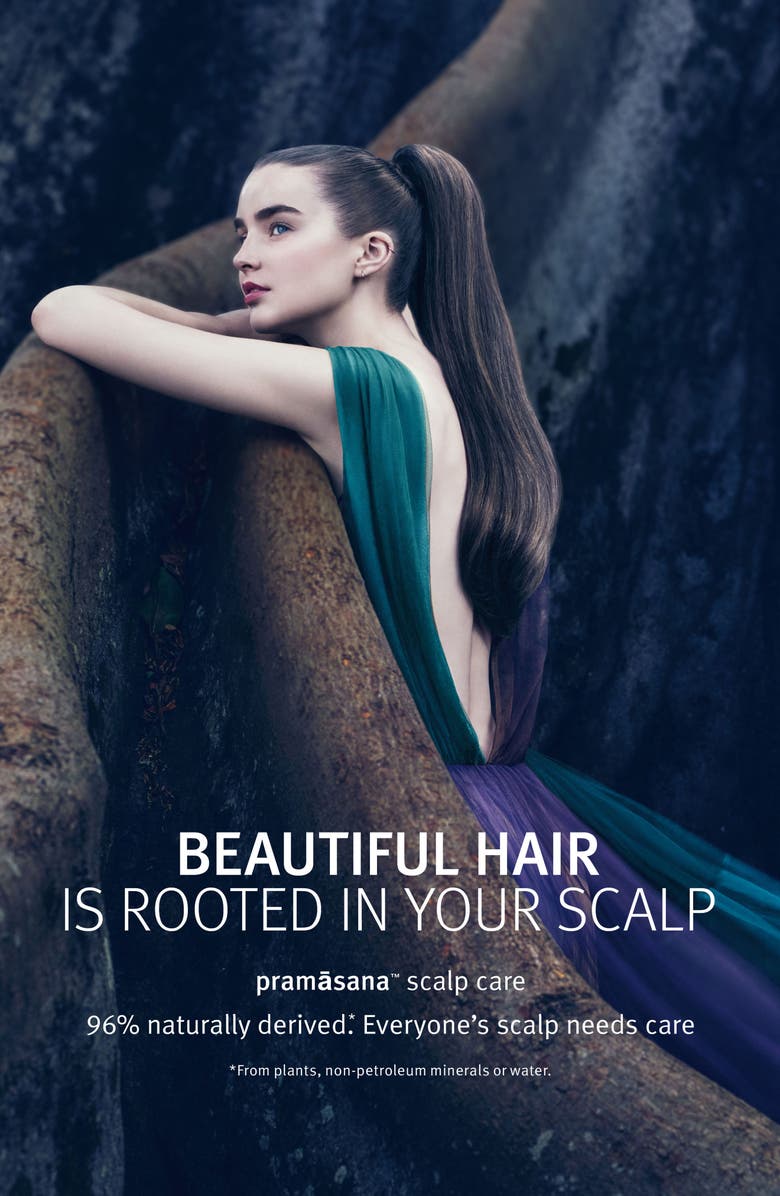 Aveda pramasanaâ„¢ Protective Scalp Concentrate, Alternate, color, 