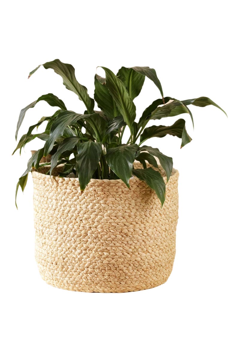 Braided Raffia Planter, Main, color, Natural