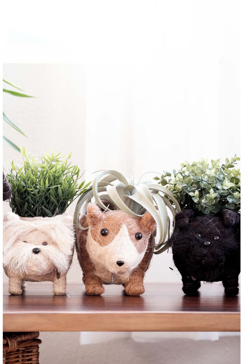 Baby Corgi Handwoven Planter, Alternate, color, BROWN / WHITE