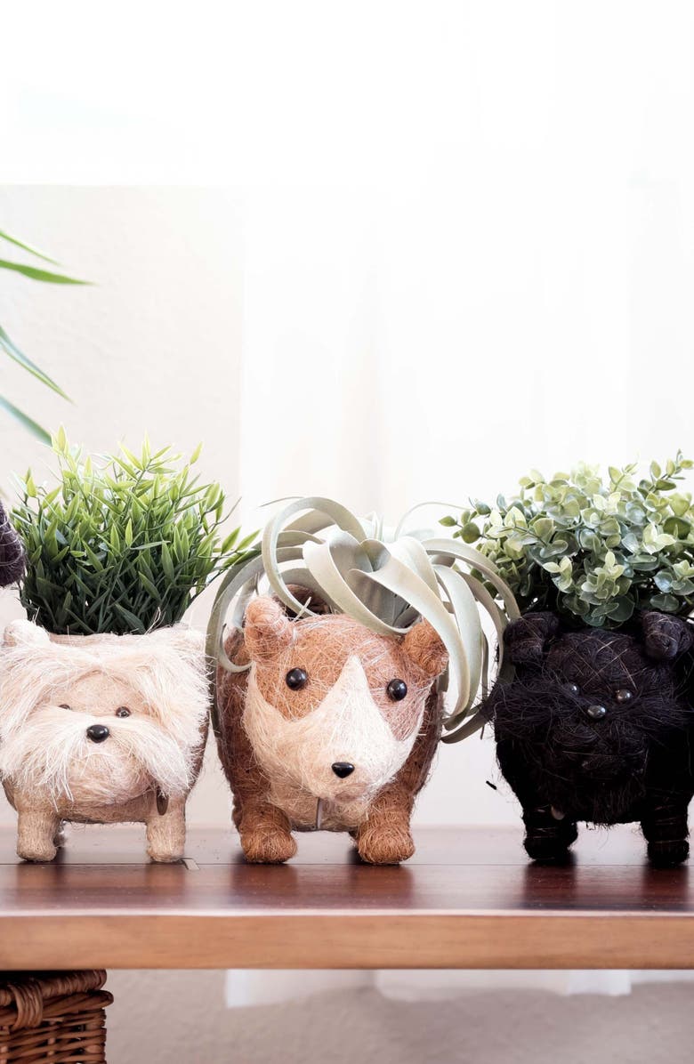 LIKHA Baby Corgi Handwoven Planter, Alternate, color, Brown / White