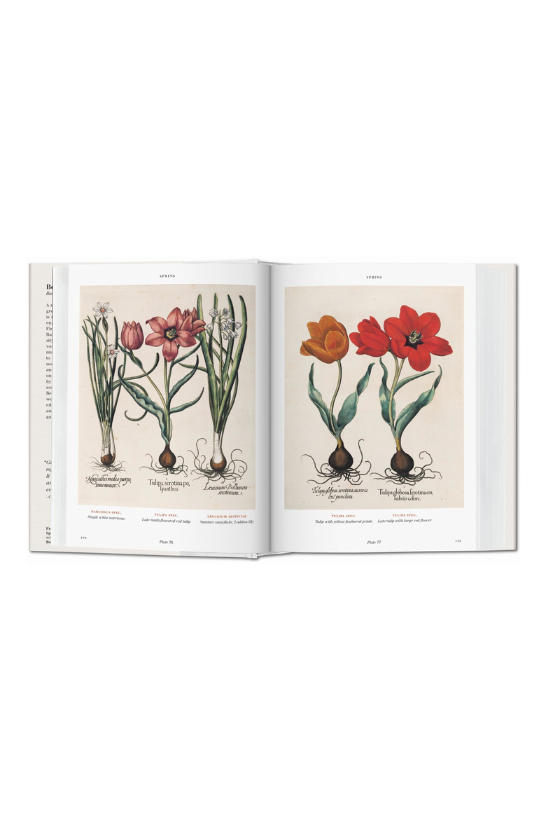 FT THE BOOK OF PLANTS, Alternate, color, WHITE