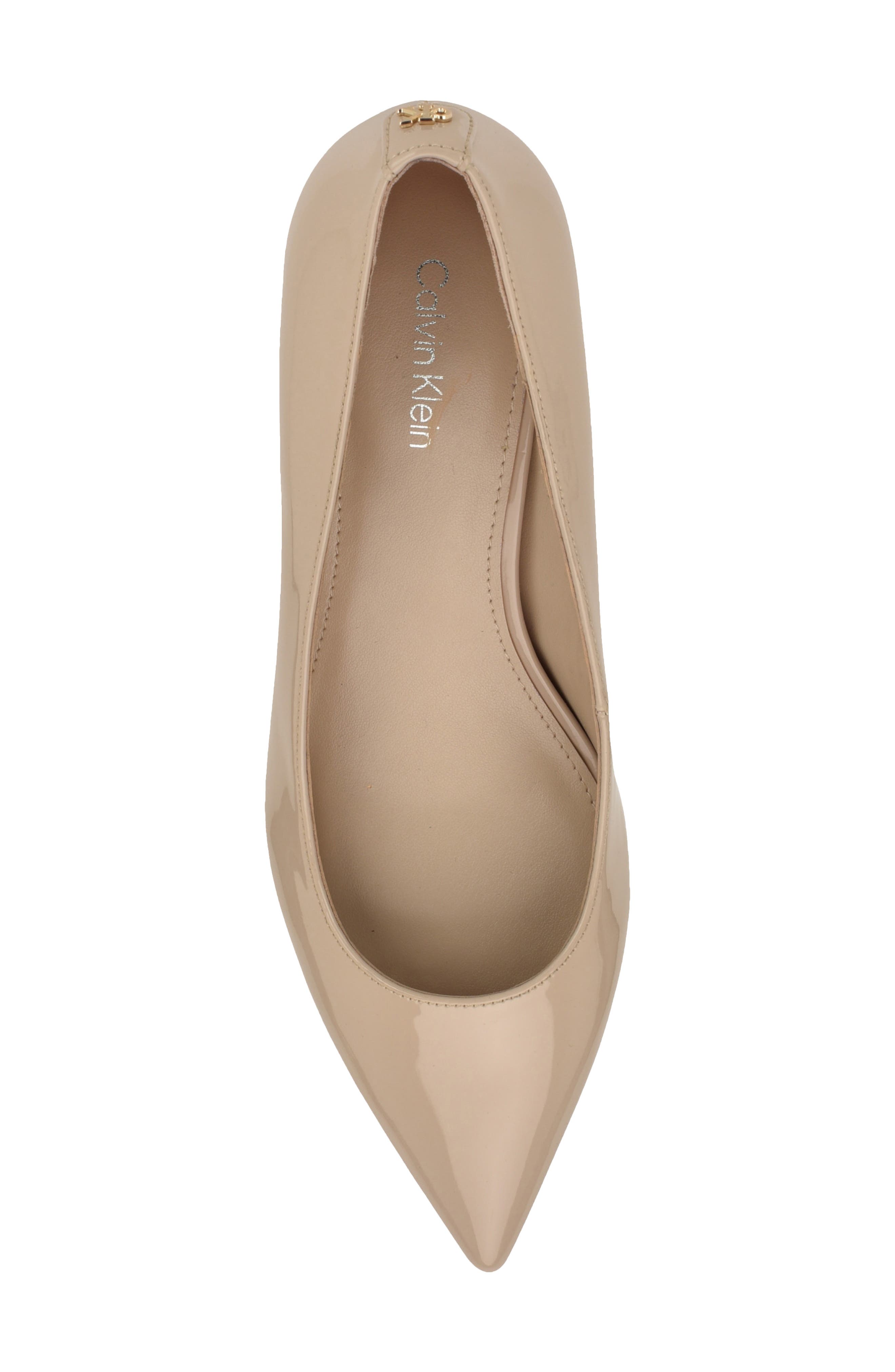 Calvin Klein Roxanna Pointed Toe Pump, Alternate, color, Taupe Patent