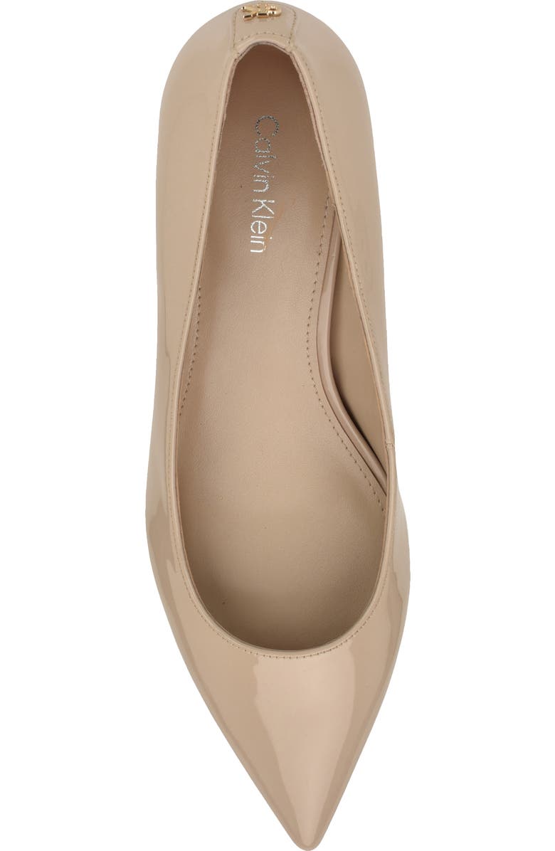 Calvin Klein Roxanna Pointed Toe Pump, Alternate, color, Taupe Patent
