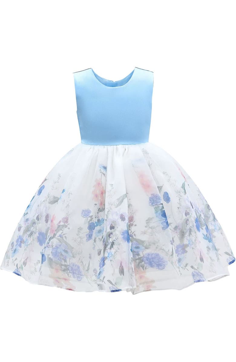 Tulleen Mabel Floral Garden Organza Dress, Alternate, color, Blue