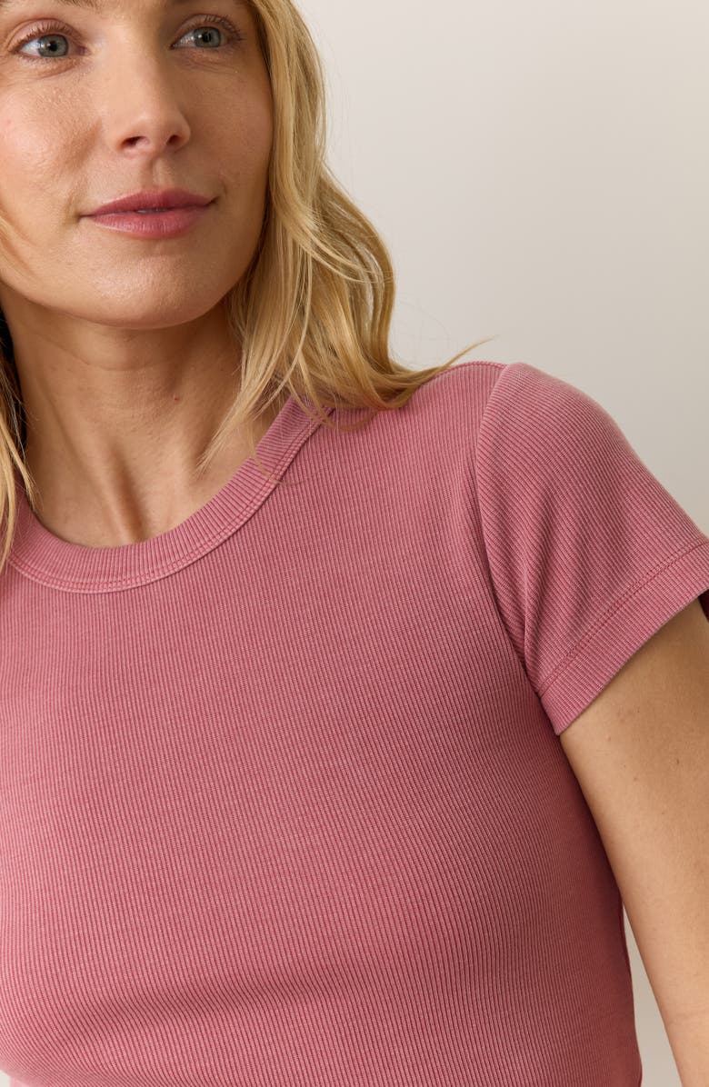 Marine Layer Lexi Sun-In Rib Crewneck T-Shirt, Alternate, color, Brick