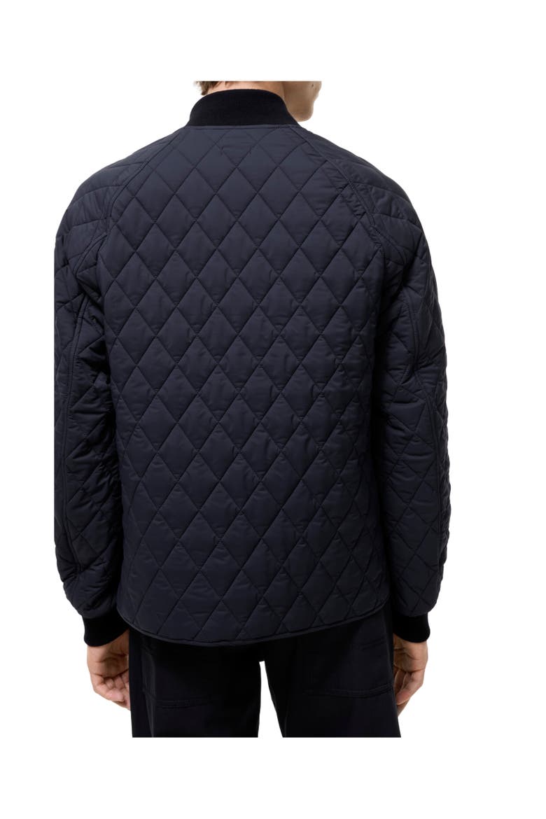 Quilted Nylon Jacket, Alternate, color, Navy
