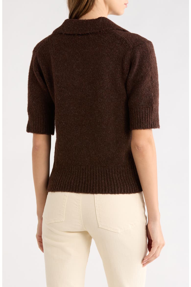 Shiloh Polo Sweater, Alternate, color, CHOCOLATE