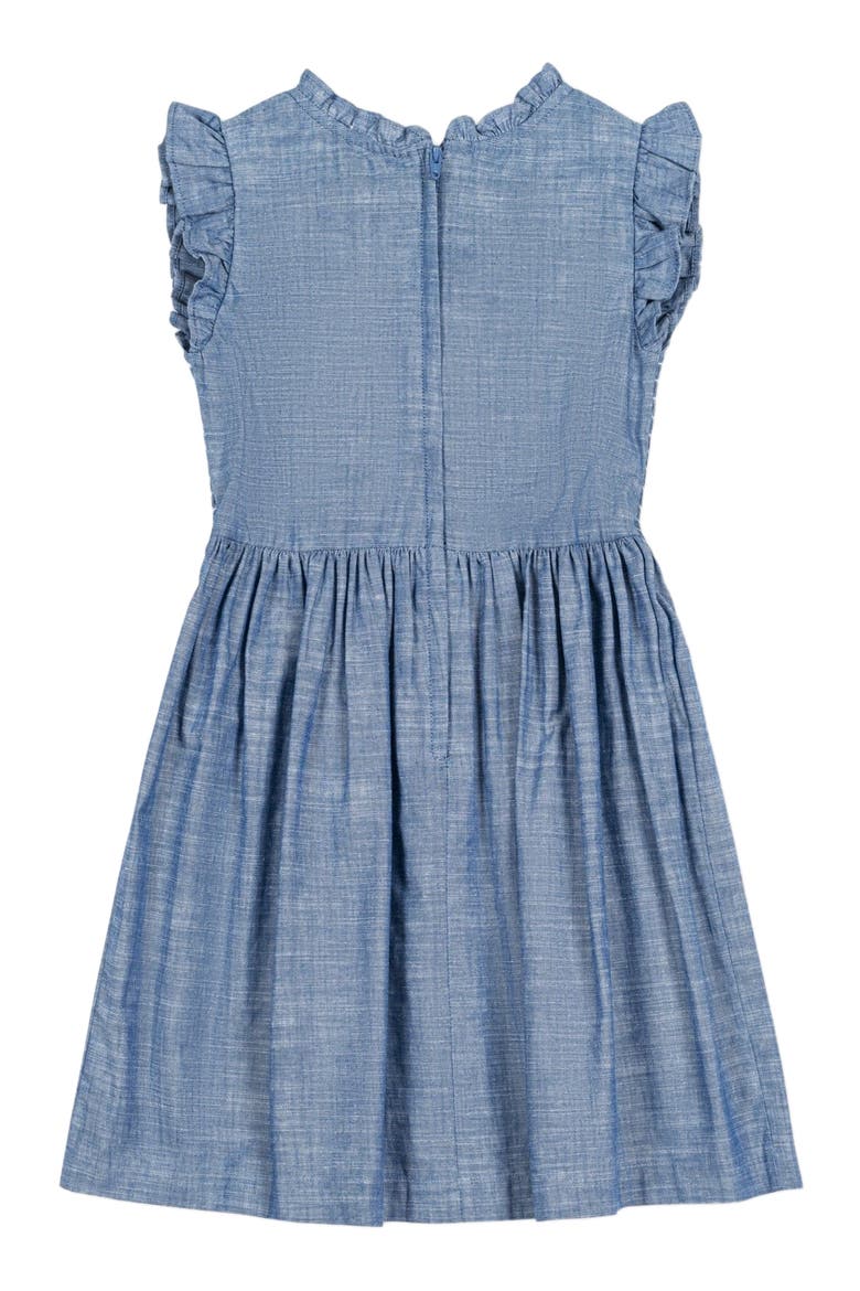 Baby Girls' Organic Flutter Smocked Chambray Dress, Infant, Alternate, color, Smocked Chambray
