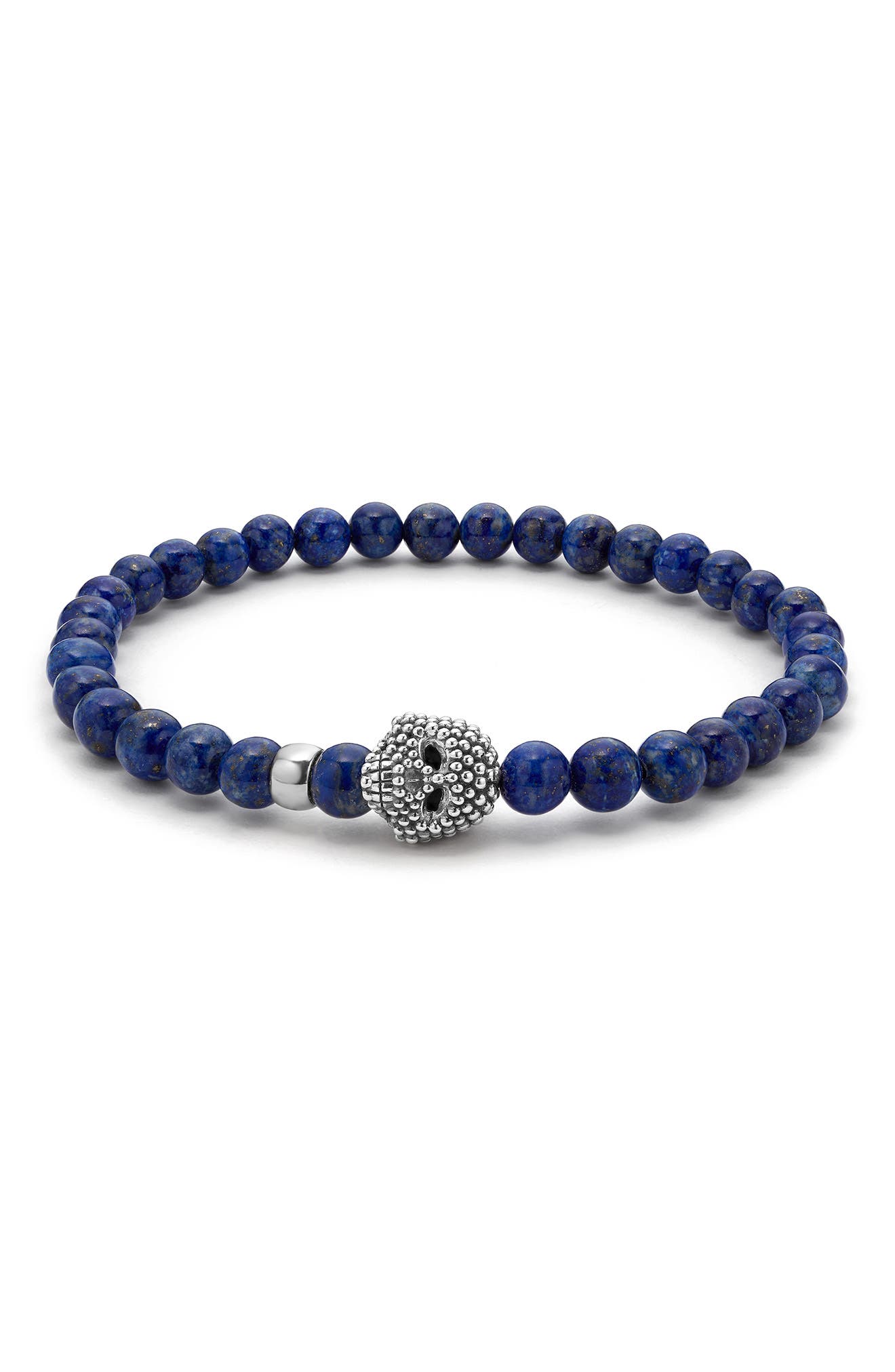 selected LAPIS