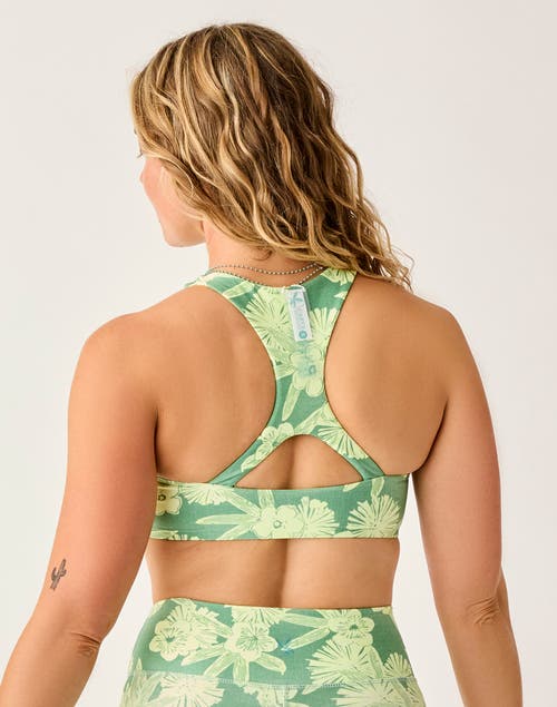 Carve Designs Sanitas Compression Reversible Top D-dd Cup