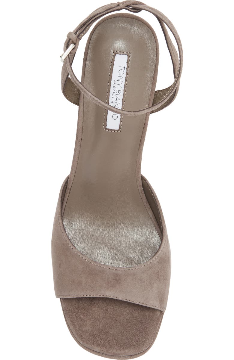 Tony Bianco Freya Ankle Strap Slide Sandals, Alternate, color, Ashen Suede