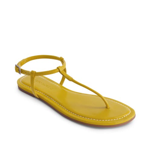 BERNARDO FOOTWEAR BERNARDO FOOTWEAR HERCU T-STRAP SANDAL 