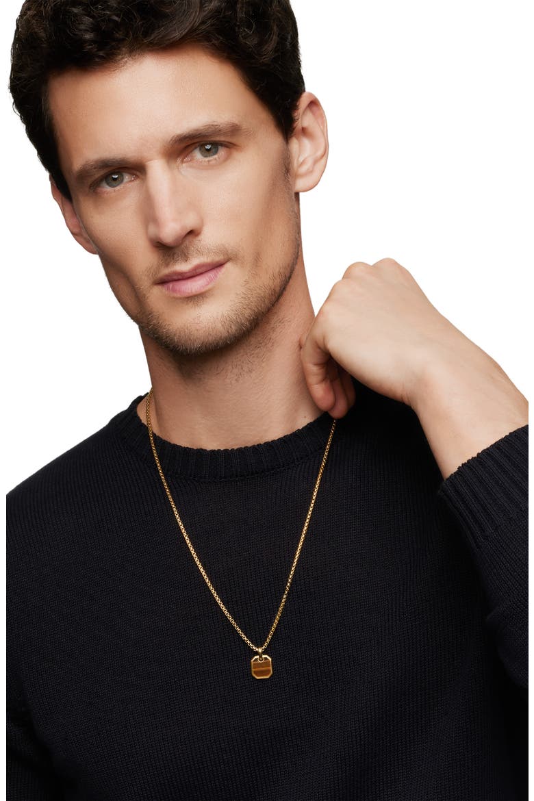 Roman Amulet in 18K Yellow Gold with Tiger's Eye, Alternate, color, 18K YELLOW GOLD