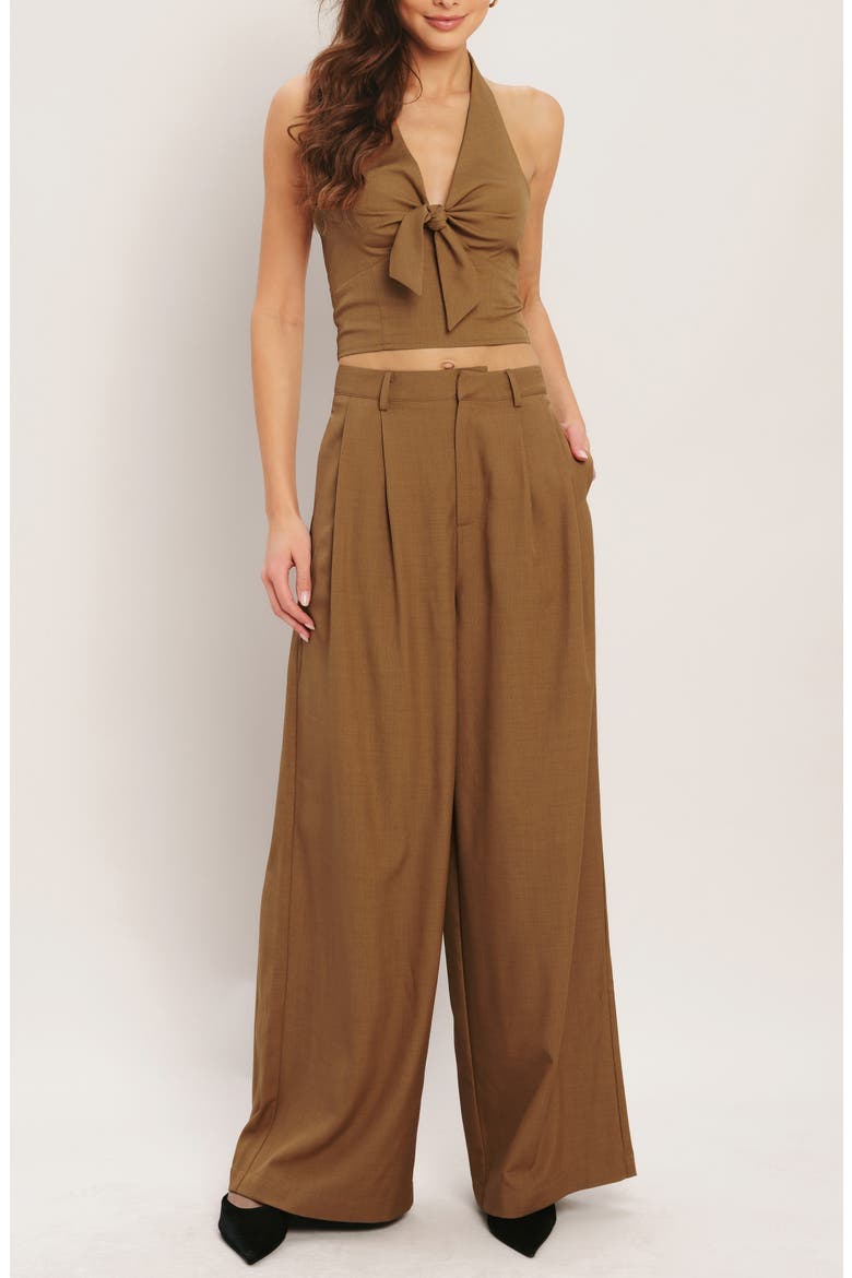 Pleated Wide Leg Pants, Alternate, color, BRICK