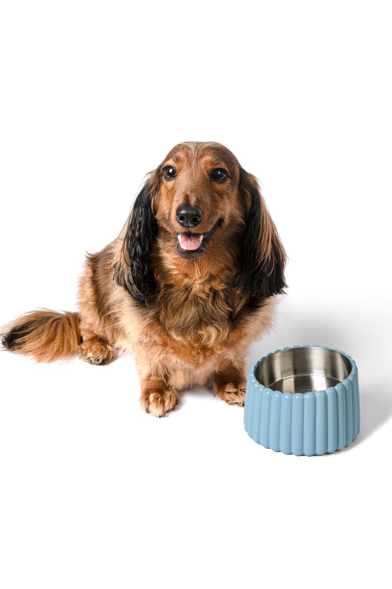 Ripple Ridge Slanted Concrete and Stainless Steel Bowl Pet Feeder, Main, color, Blue