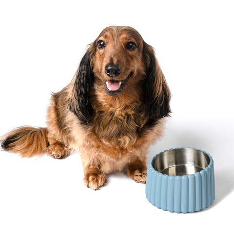 Ripple Ridge Small/Medium Slanted Concrete and Stainless Steel Bowl 16oz (2 Cups) Pet Feeder