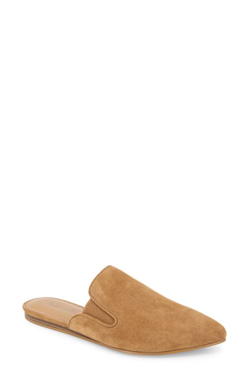Splendid Liza Pointed Toe Mule In Brown