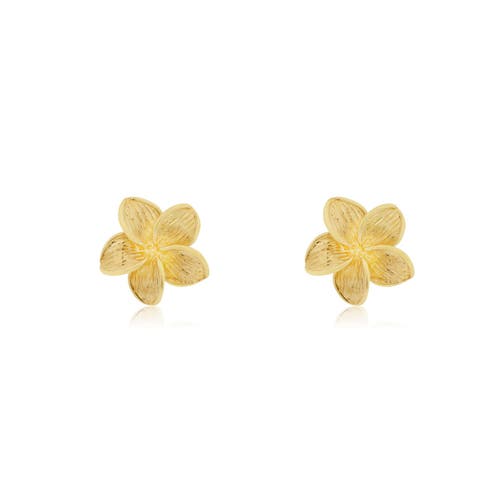 The Lovery Fine Jewelry Gold Tropical Flower Stud Earrings In Gold