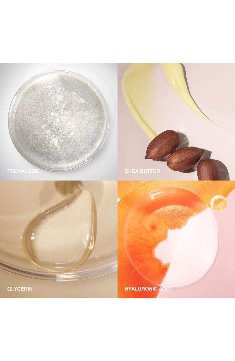 Bobbi Brown Extra Repair Peptide Moisture Cream Intense, Alternate, color,