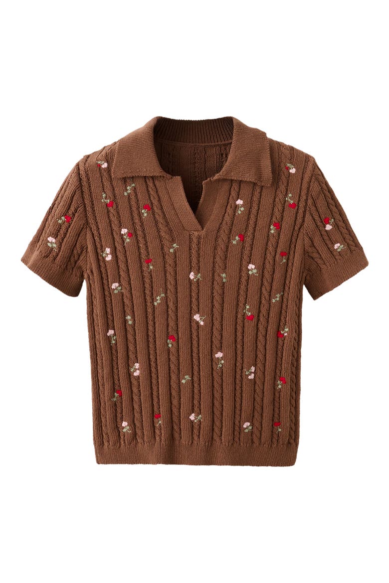 Floral Embroidered Short Sleeve Sweater, Main, color, BROWN