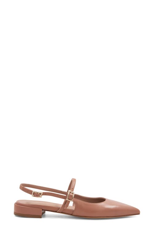 Bruno Magli Martina Slingback Mary Jane Pointed Toe Flat In Tan