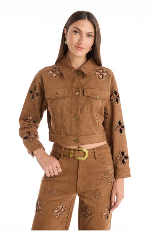 The Noli Shop Kaia Suede Jacket In Brown