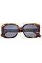 selected Brown Tortoise