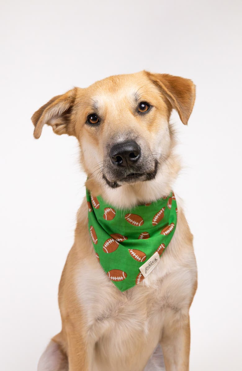 The Paws Defender Dog Bandana, Alternate, color, Green