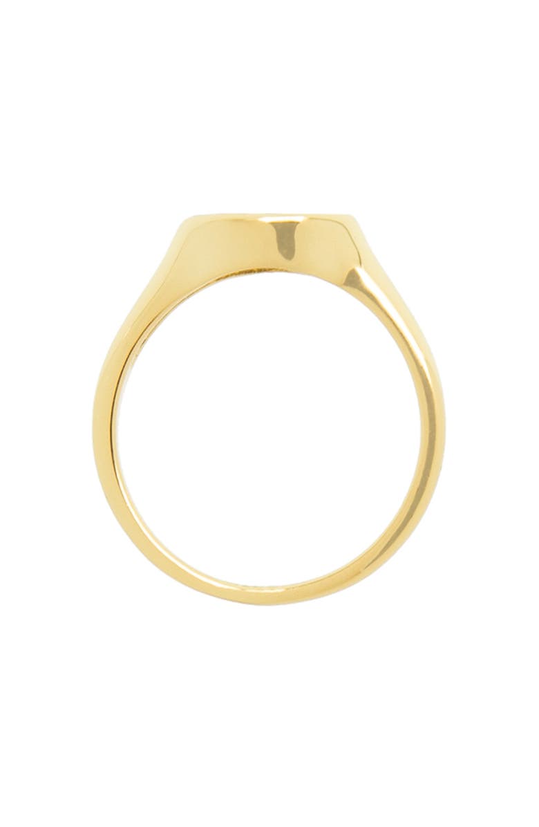 MARLYN SCHIFF Mixed Cut Cubic Zirconia Signet Ring, Alternate, color, 