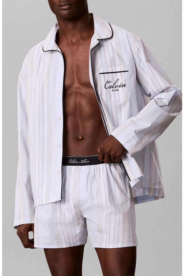 Logo Cotton Poplin Boxers, Main, color, CREST STRIPE ICE CASTLE