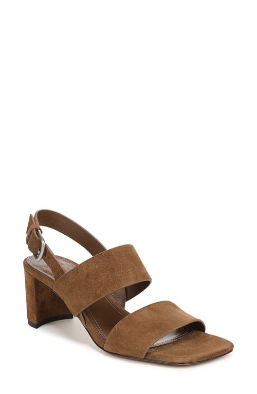 Vince Oliana Slingback Sandal in Elmwood at Nordstrom, Size 7