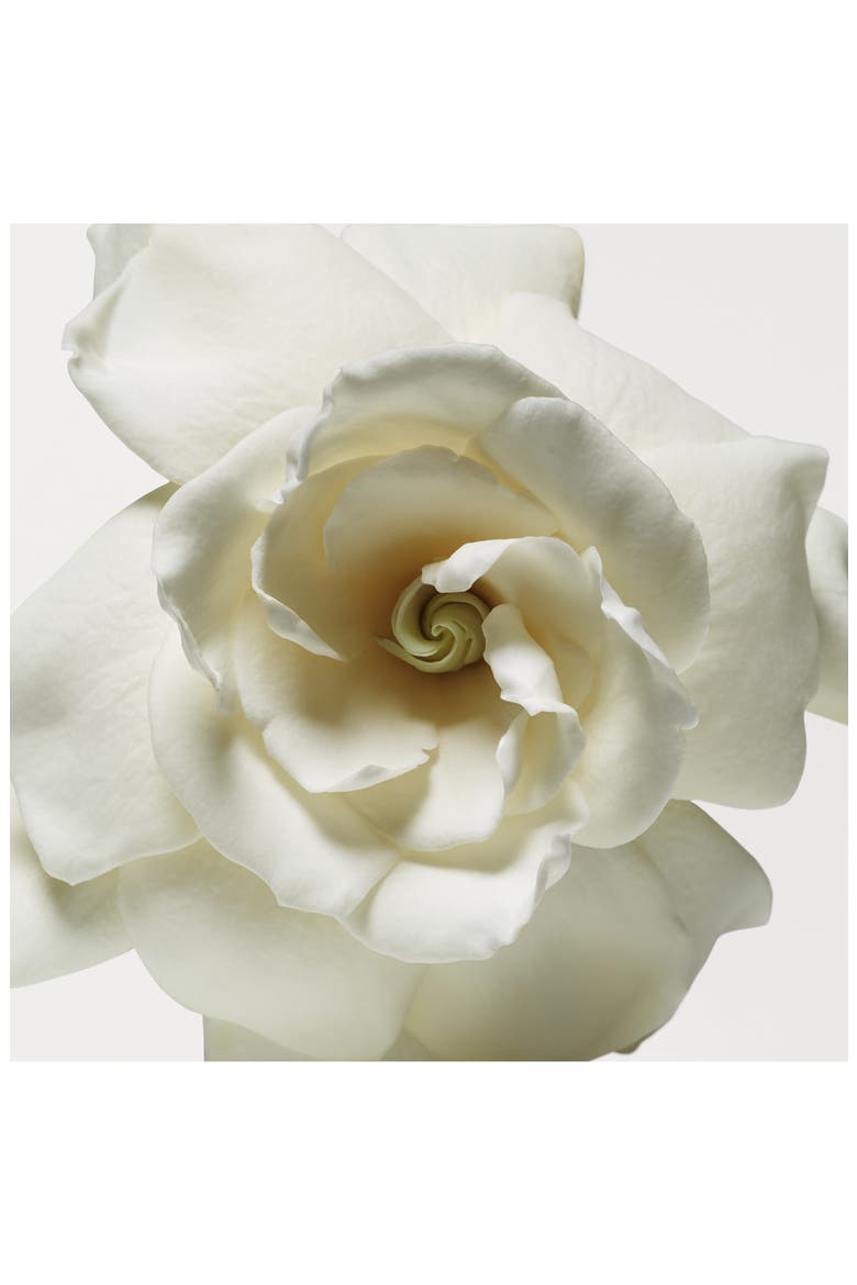 Cashmere Mist Body Lotion $283 Value, Alternate, color, NO COLOR