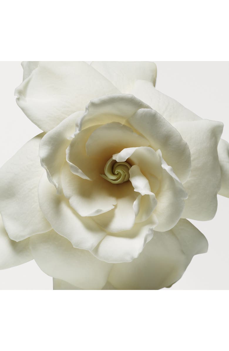 Donna Karan New York Cashmere Mist Deodorant & Antiperspirant Trio Set $90 Value, Alternate, color,