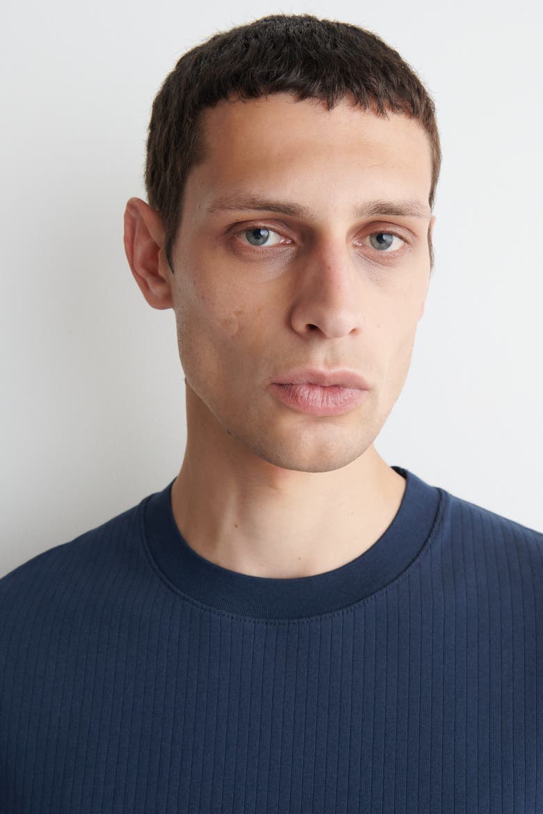 Ribbed Jersey T-Shirt, Alternate, color, NAVY