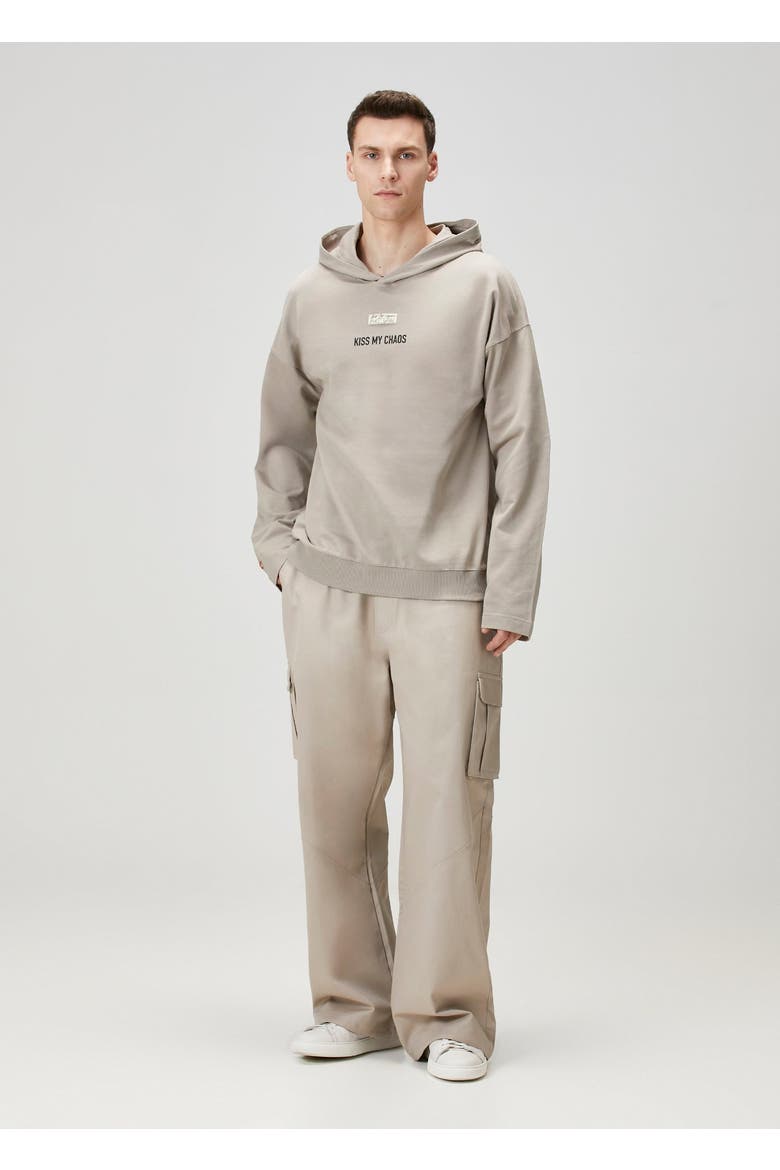 Pure Cotton Regular Fit Hoodie, Alternate, color, beige