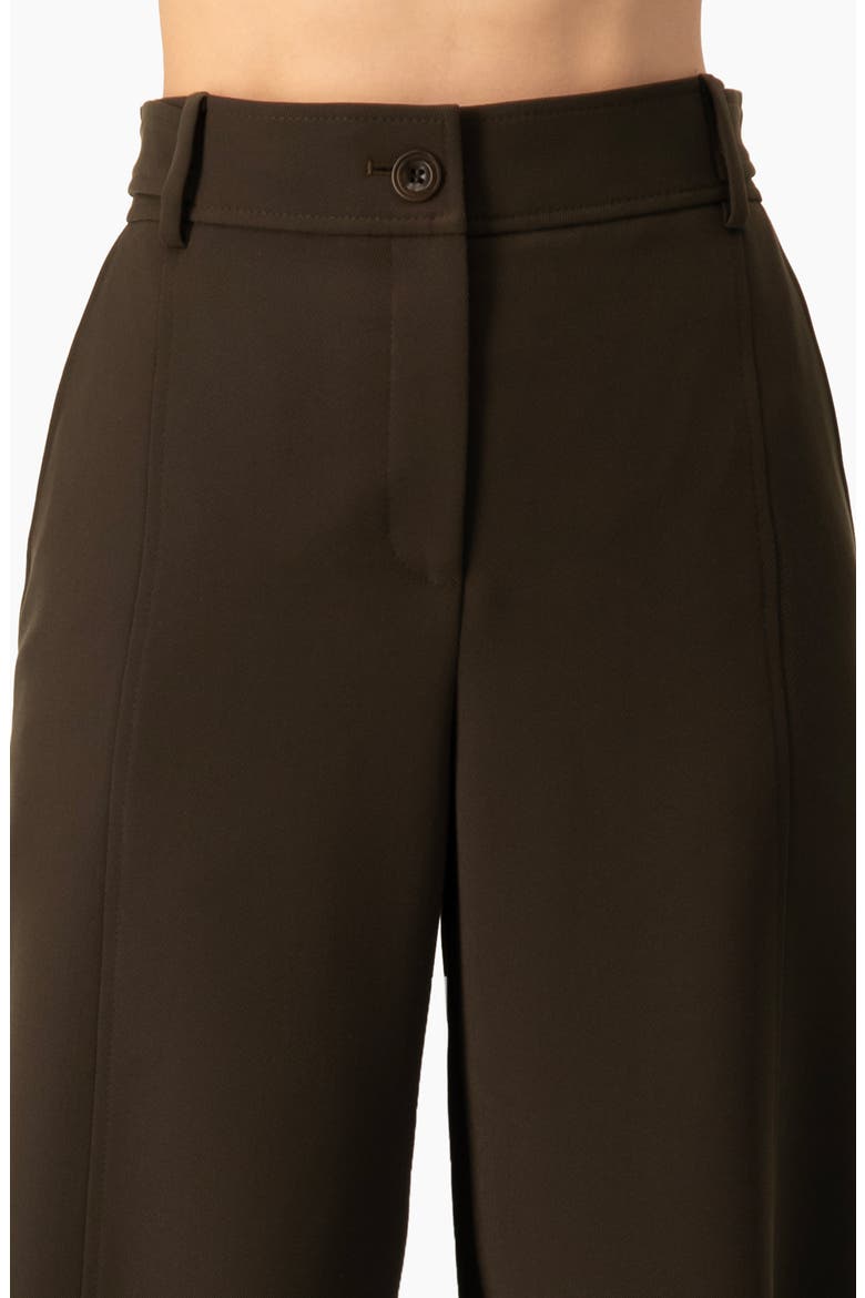 Tapered Cuff Utility Relaxed Pants with High-Waist and Ankle Straps, Alternate, color, Brown