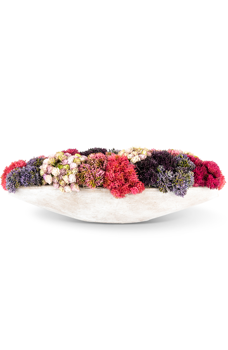 CocoBella August Sedum Arrangement, Main, color, Multi-Color