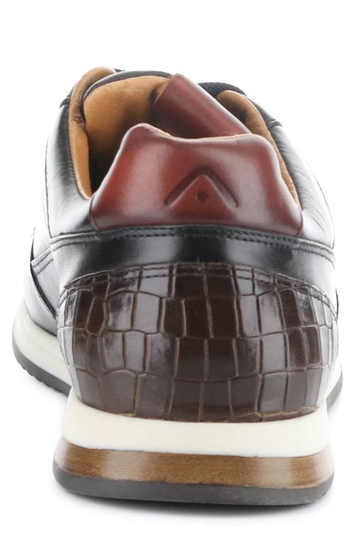 Ambitious 11717 Low Top Sneaker In Multi