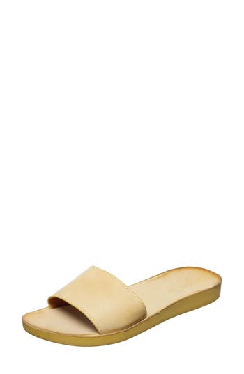 Antelope Adica Slide Sandal In Yellow