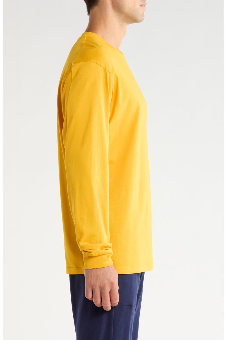 Kragg Long Sleeve Cotton Graphic T-Shirt, Alternate, color, LARCH