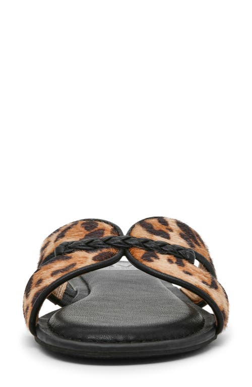 Dolce Vita Dv By Geeya Sandal In Multi