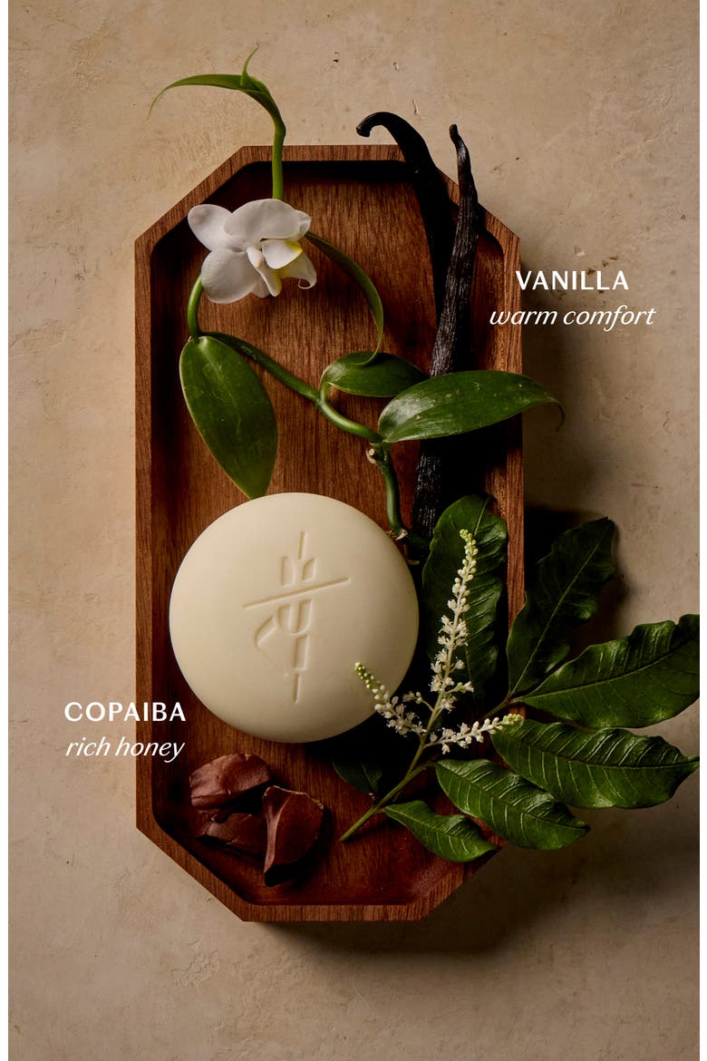 Vanilla & Copaiba Body Stone Lotion Bar, Alternate, color, NO COLOR