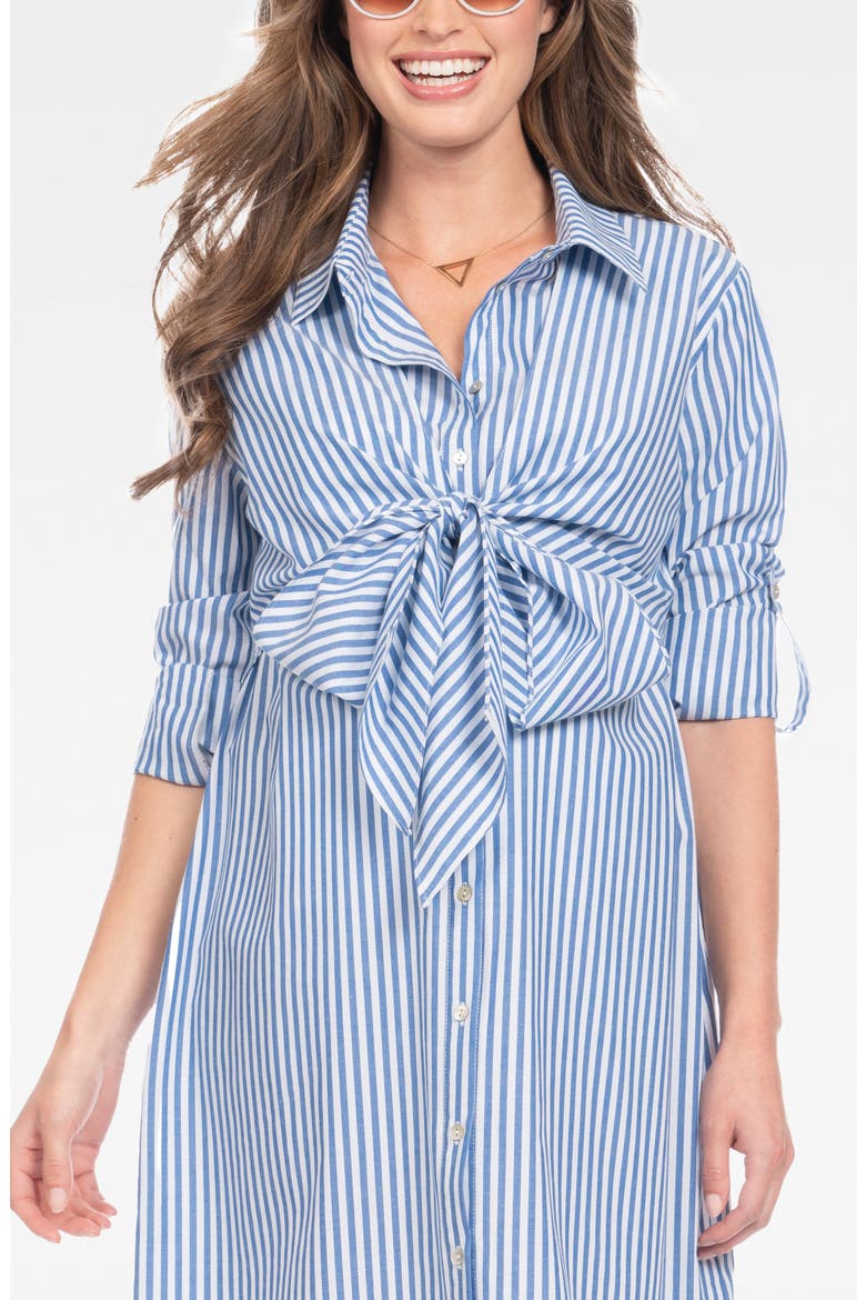 Stripe Long Sleeve Maternity/Nursing Shirtdress, Alternate, color, BLUE STRIPE