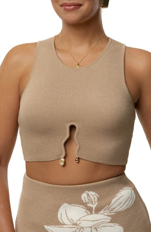 Jluxlabel Oasis Print Knit Crop Top & Miniskirt Set In Brown
