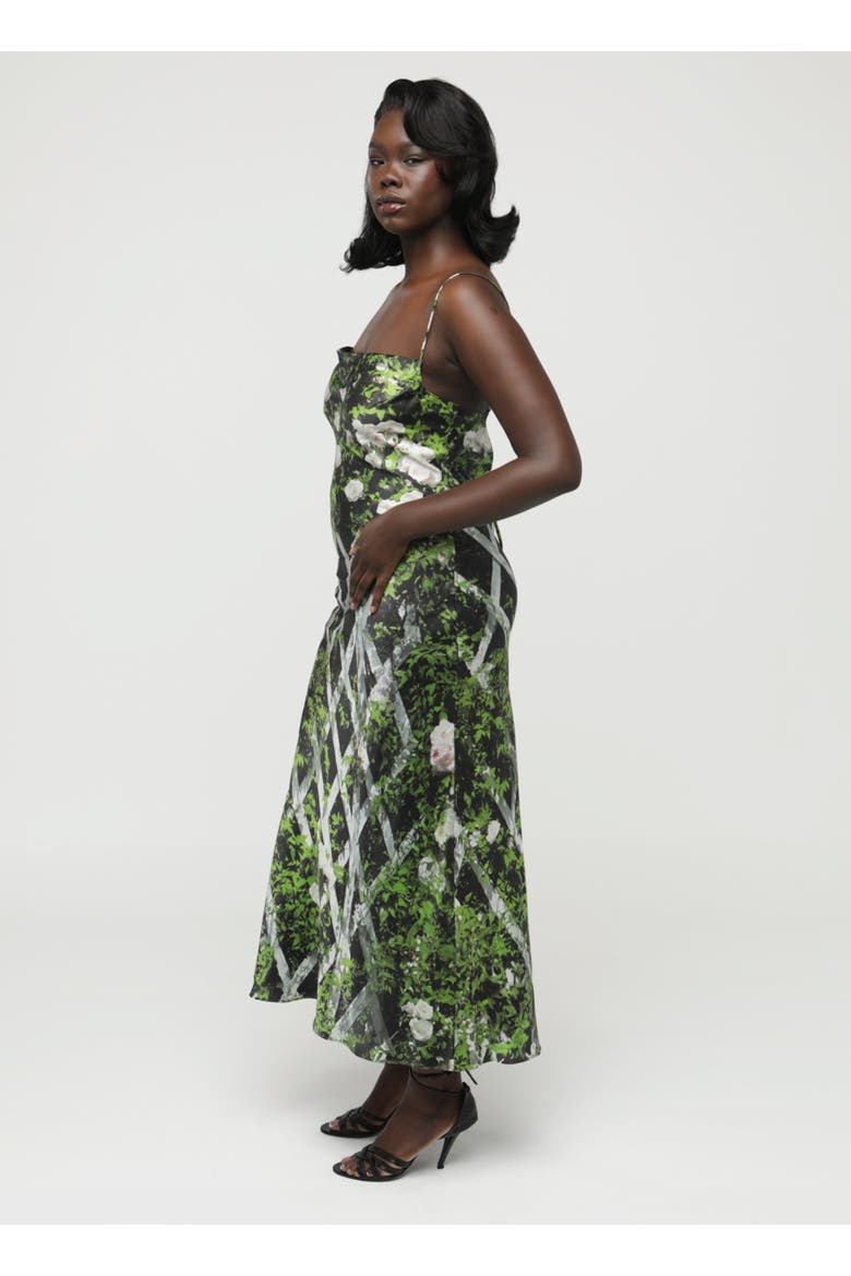Elisa Dress, Alternate, color, Leafy Rose Trellis